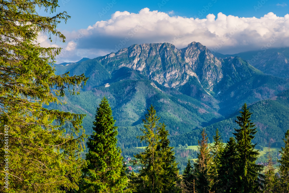 Fototapeta premium Panoramic view of Tatra Mountains with Giewont and Czerwone Wierchy peaks seen from the Gubalowka hill in Zakopane resort, Poland