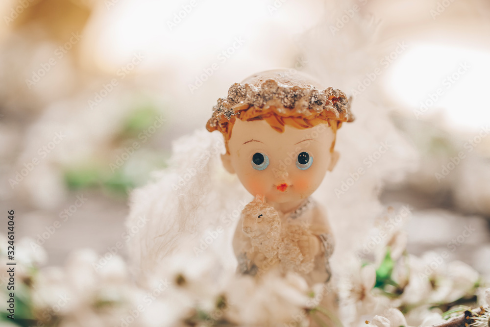 Fototapeta premium doll with flowers