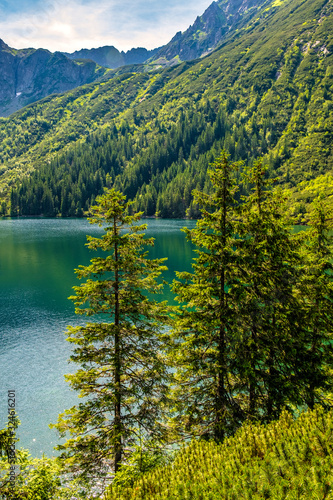 Fototapeta Naklejka Na Ścianę i Meble -  Panoramic view of the Morskie Oko mountain lake with High Tatra Mountains peaks and surrounding forest in background