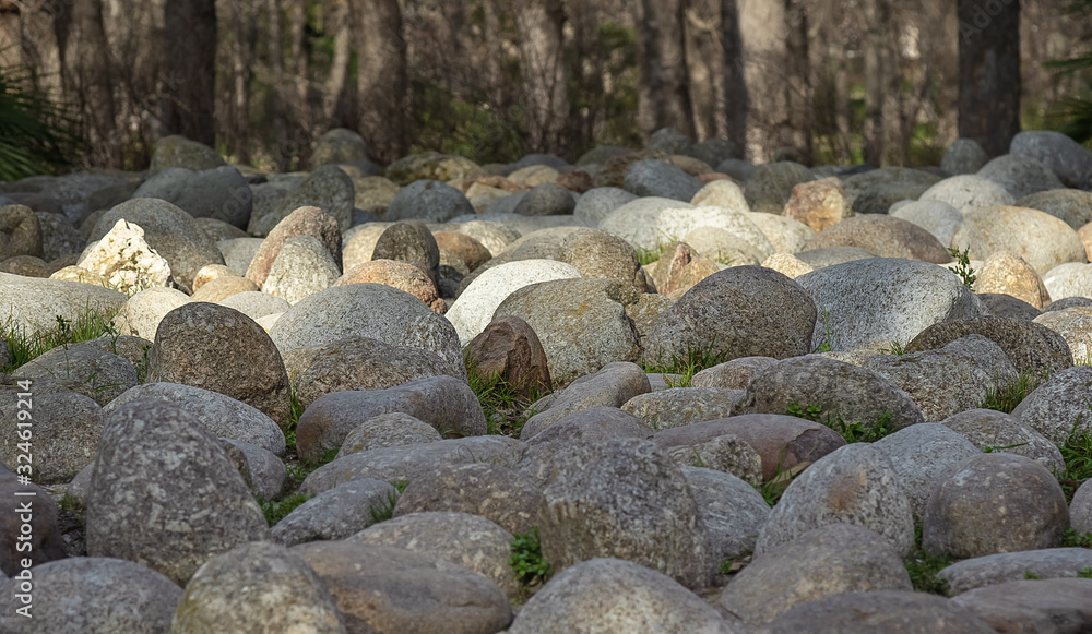 Glade with oval large stones on the background of tree trunks Glade with oval large stones on the background of tree trunks