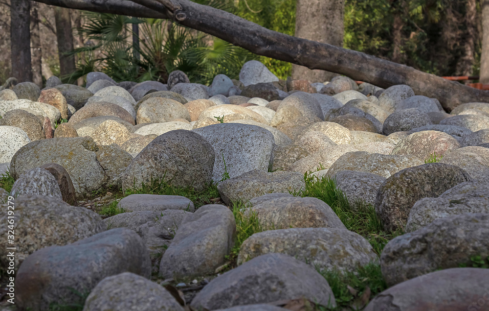 large stones in the forest on the grass against a background of greenery and trunks. Forest background large stones in the forest on the grass against a background of greenery and trunks. Forest background