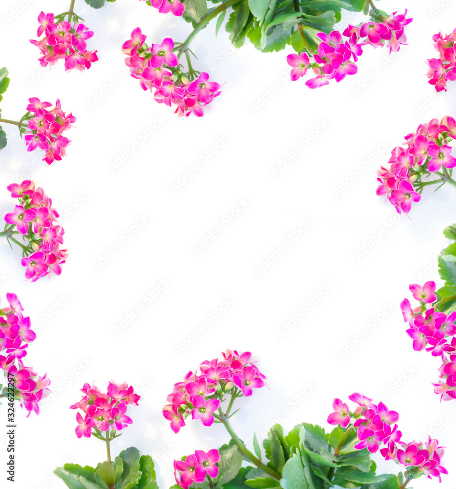 Beautiful card with floral background. Basis for greeting card Beautiful card with floral background. Basis for greeting card