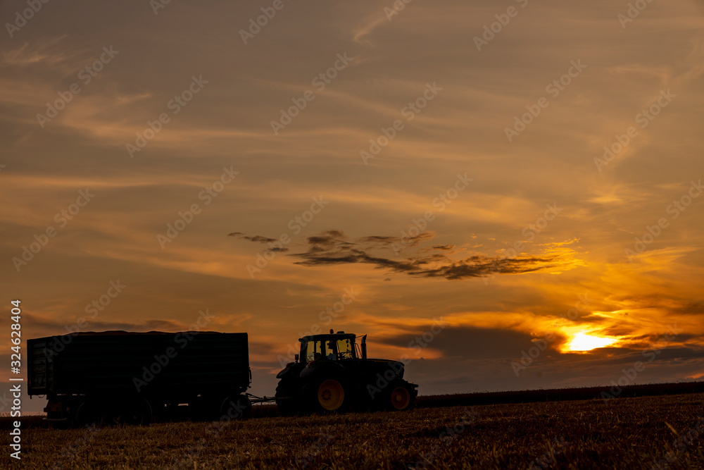 Fototapeta premium Agricultural Season Harvest Time, Colorful Dramatic Sky At Sunset