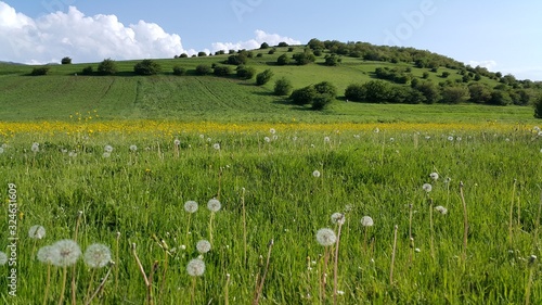 Fototapeta Naklejka Na Ścianę i Meble -  landscape with field and blue sky
