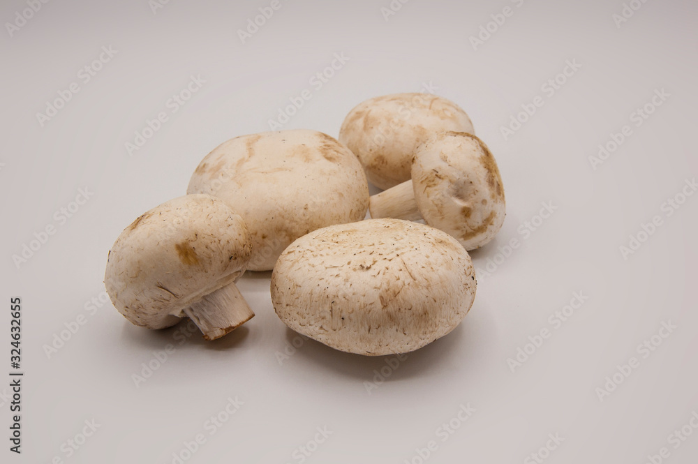 Fresh champignons isolated in white background