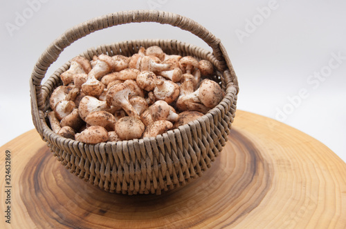 basket with fresh forest mushrooms