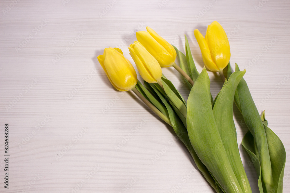 Flower tulip on white wooden background. Bouquet of the yellow tulip flowers. Valentines day concept, woman's day. Flower tulip on white wooden background. Bouquet of the yellow tulip flowers. Valentines day concept, woman's day.
