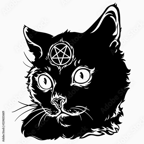 black magic cat with a pentagram