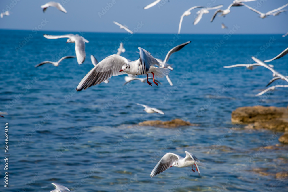 Obraz premium Beautiful Spring Landscape