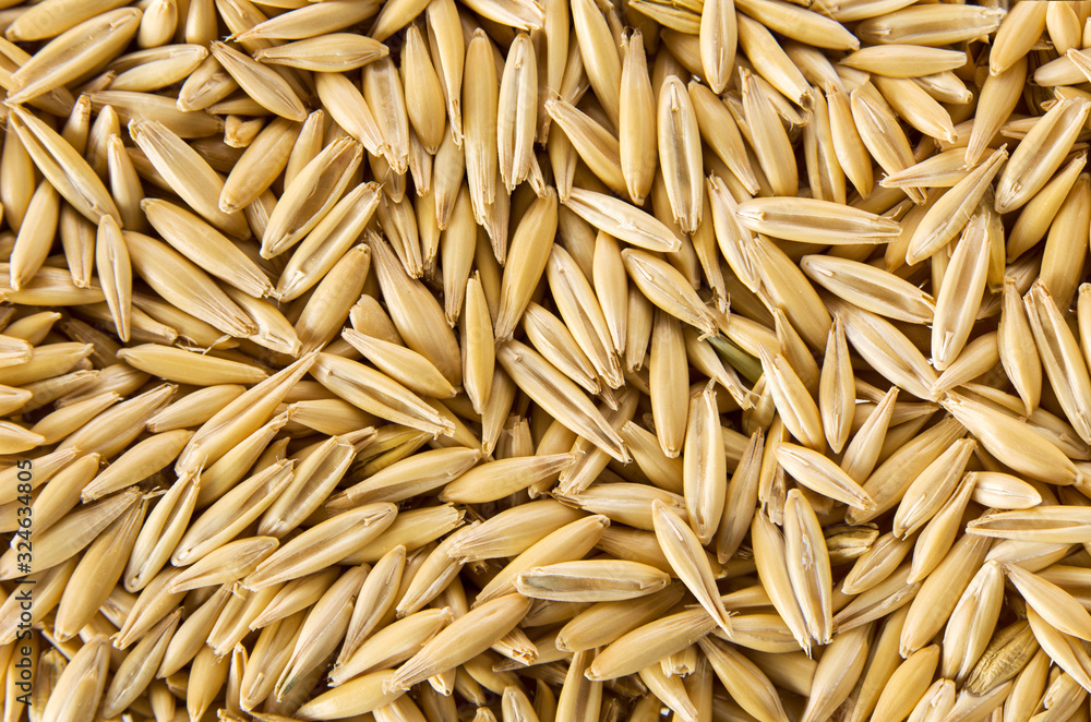 Oat grain background. The texture of raw natural organic seed, top view closeup Oat grain background. The texture of raw natural organic seed, top view closeup
