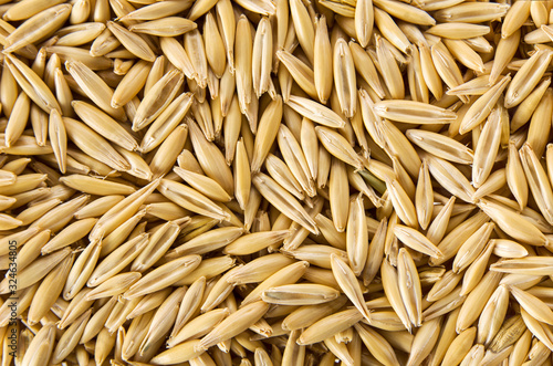 Oat grain background. The texture of raw natural organic seed, top view closeup