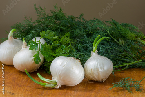 White onion and green dill on wooden table background