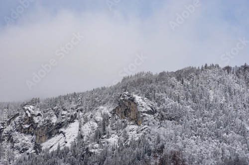 Wallpaper Mural Detail of mountain face with rocks, snow and trees, in Ennstal, Steiermark, Austria Torontodigital.ca