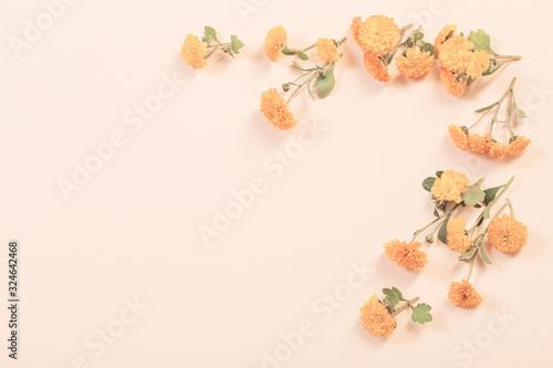 orange chrysanthemums on yellow paper background
