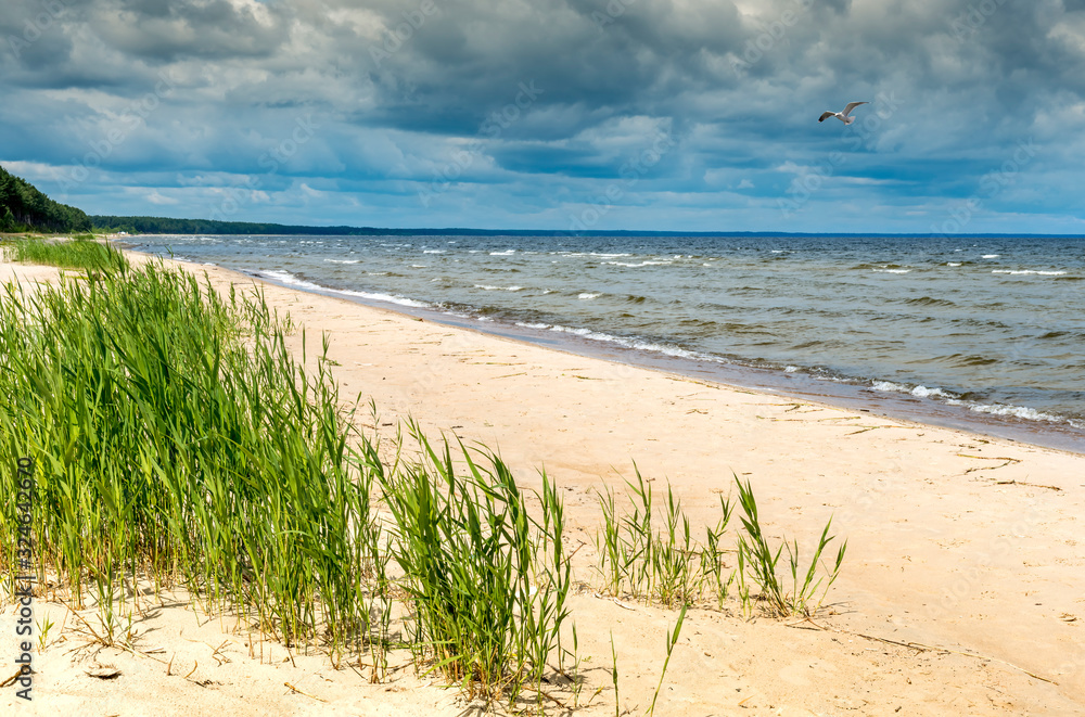 Coastal Baltic landscape, summer day at the Riga gulf, Jurmala tourist resort Coastal Baltic landscape, summer day at the Riga gulf, Jurmala tourist resort