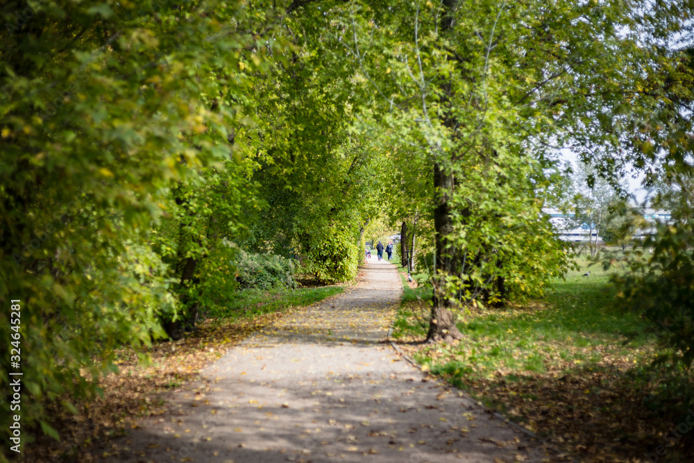 Alley in Pole Mokotowskie Park, Warsaw, Poland Alley in Pole Mokotowskie Park, Warsaw, Poland