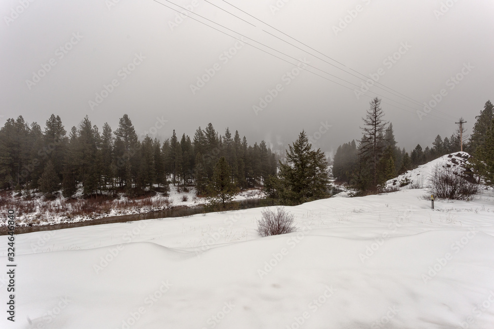 Deep snow and tall evergreen trees with river cutting through and telephone wires with fog Deep snow and tall evergreen trees with river cutting through and telephone wires with fog