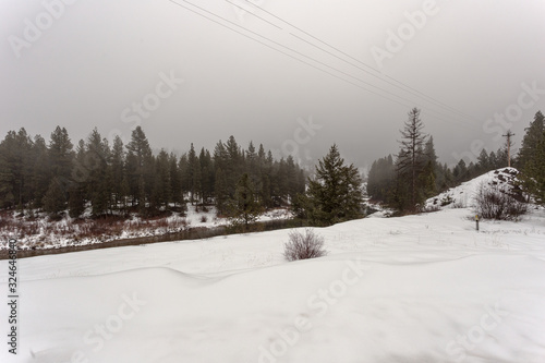 Deep snow and tall evergreen trees with river cutting through and telephone wires with fog