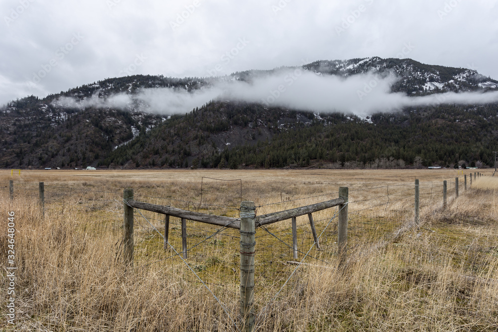 Vintage cattle fence forgotten in weeds in front of tree covered foggy mountain