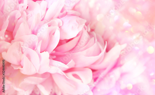 Closeup of peony flower on soft pastel background © Sandra Cunningham