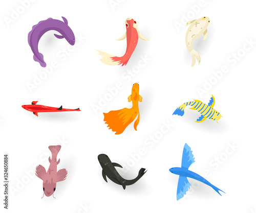 Exotic fish flat vector illustrations set