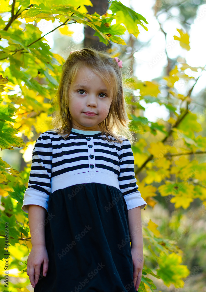 Girl in the autumn forest. Sunny, bright day. Girl in the autumn forest. Sunny, bright day.