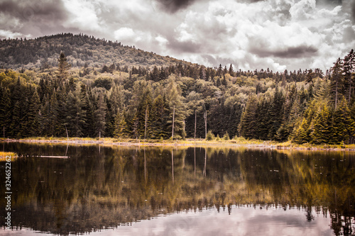 lake in the forest