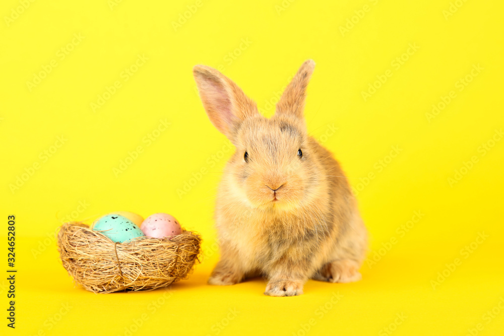 Obraz premium Bunny rabbit with easter eggs in basket on yellow background