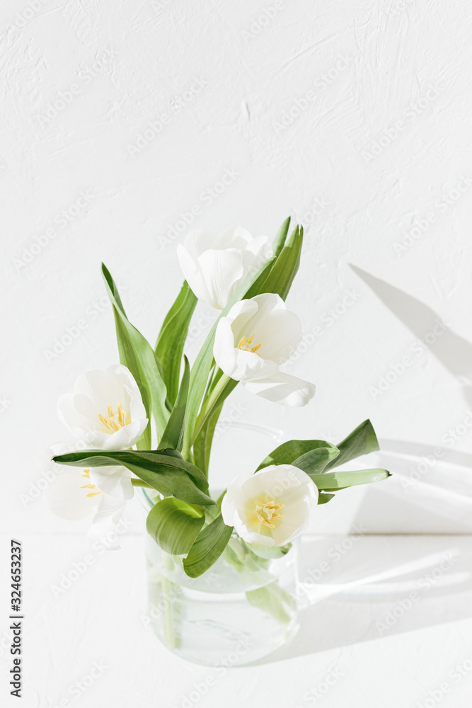 White tulips in the glass vase isolated on white textured background White tulips in the glass vase isolated on white textured background