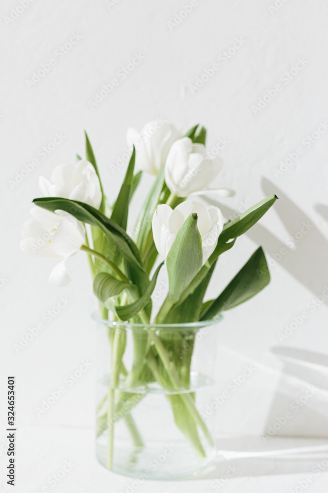 White tulips in the glass vase isolated on white textured background