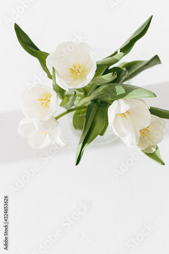 White tulips in the glass vase isolated on white textured background