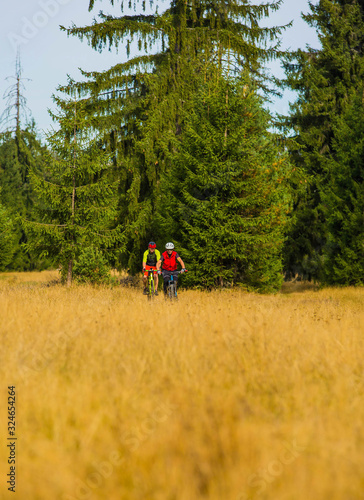 guys riding through rural path near pine trees