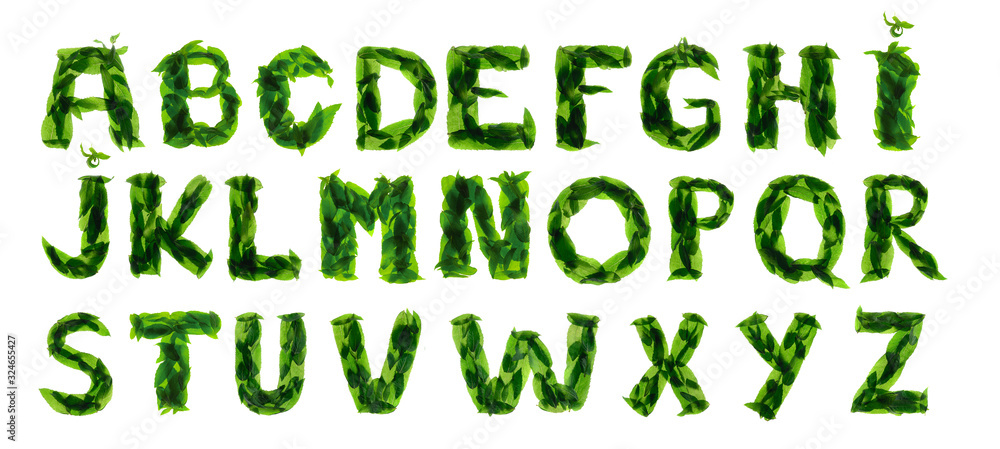 English alphabet made of a mint leaves isolated on white background.