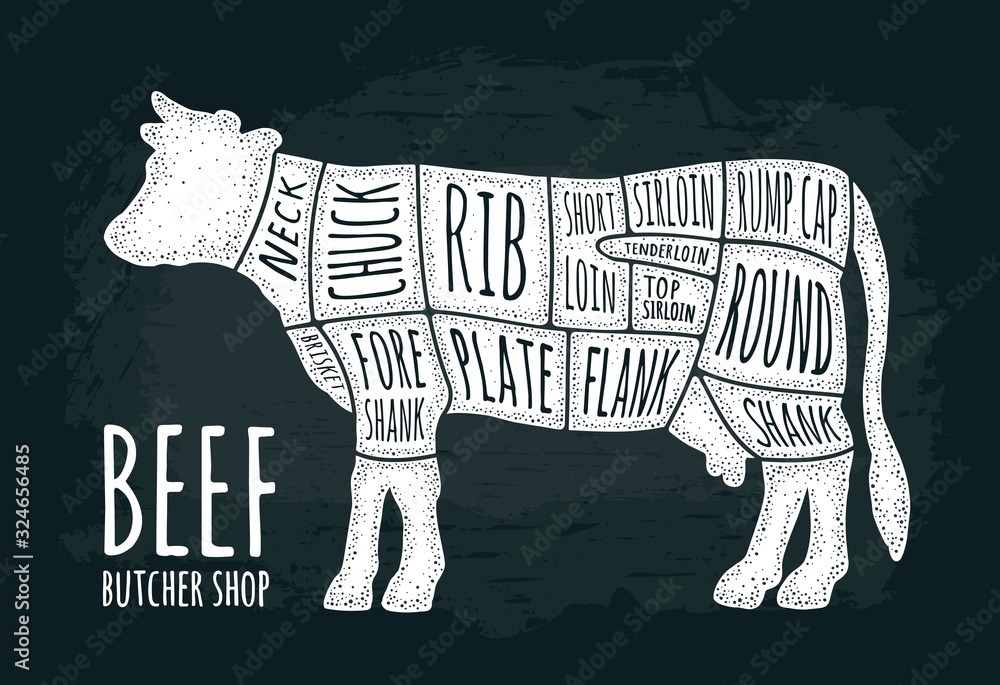 Cuts of cow meat. Beef handwriting lettering. Vintage vector engraving ...