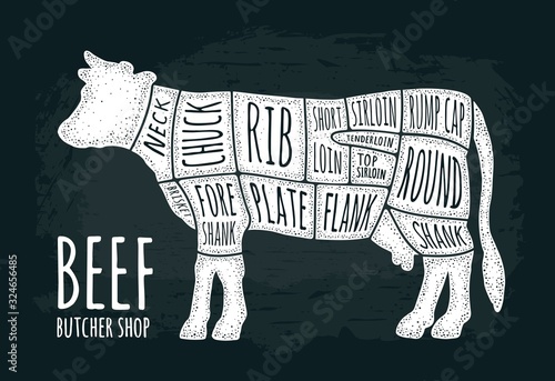 Cuts of cow meat. Beef handwriting lettering. Vintage vector engraving
