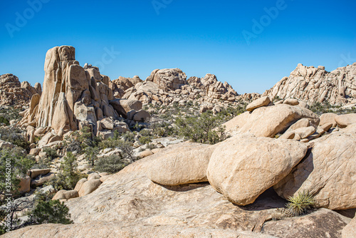 USA, California, San Bernadino County, Joshua Tree National Park. The Wonderland of Rocks offers endless opportunities for exploration off the Boy Scout Trail.