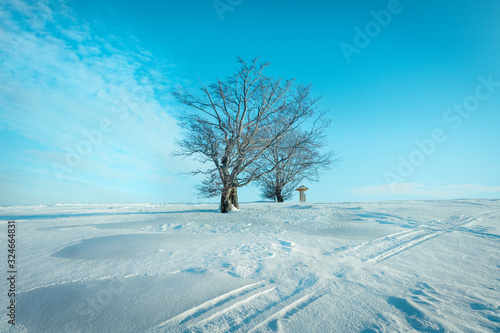 Fototapeta Naklejka Na Ścianę i Meble -  Beskidy Hala Jaworowa
