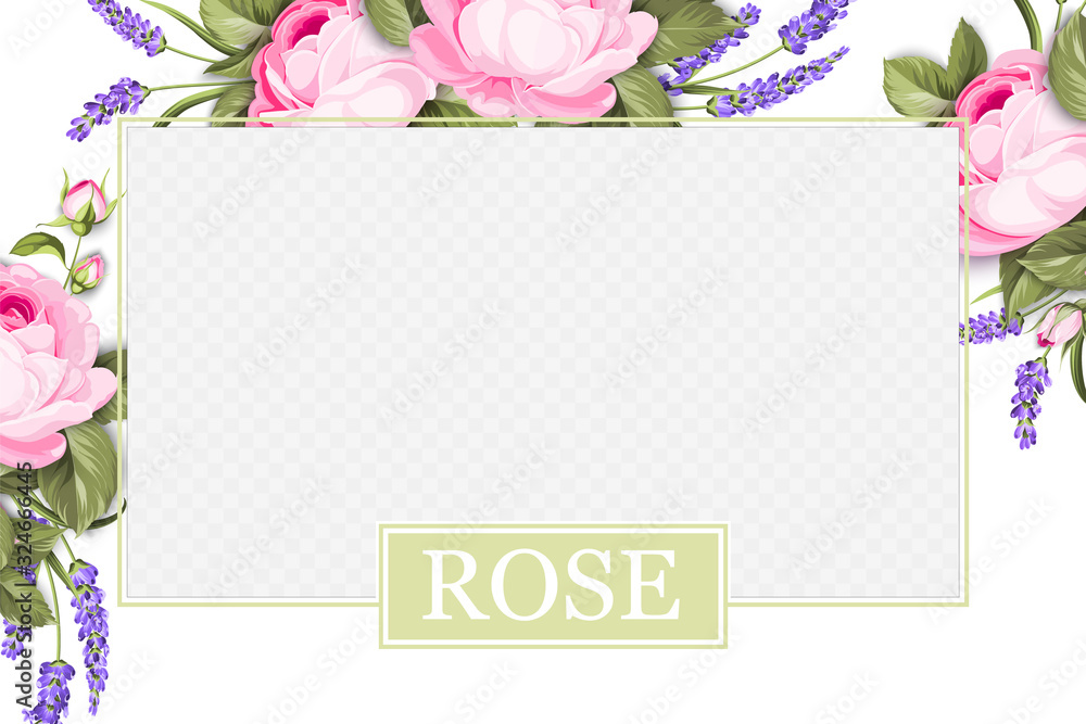 Cover design, transparent product package window, lavender and rose flower border. Regenerate cream label design with pink rose bloomings. Template of beauty skincare design over the provence border.
