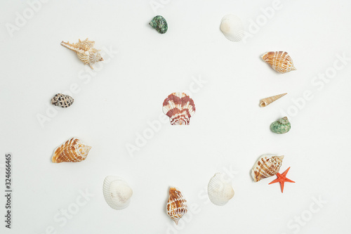 colorful round frame of sea shells flat lay isolated on white background with one shell in center. concept of summer vacation at seashore. circle framing of colourful seashells, red starfish, top view