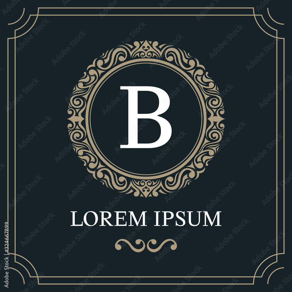 Fototapeta premium Luxury logo template, Initial letter type B on blue background, vector illustration