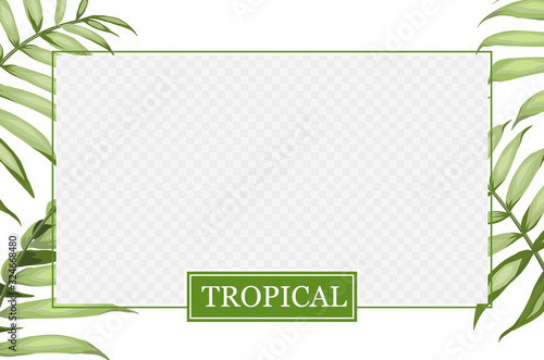 Transparent window with border green palm leaves. Cover design, transparent product package window. Regenerate cream label design with jungle leaf. Template of skincare design over the tropical border