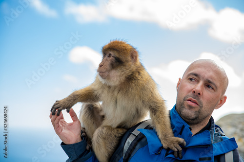A man with a monkey Macaca sylvanus on his shoulder in Gibraltar Wildlife Sanctuary