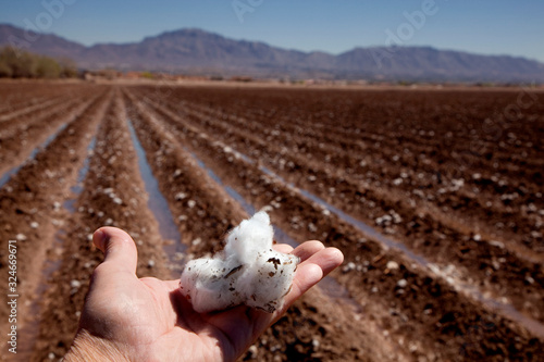 Принти на полотні Furrowed fields after cotton harvest