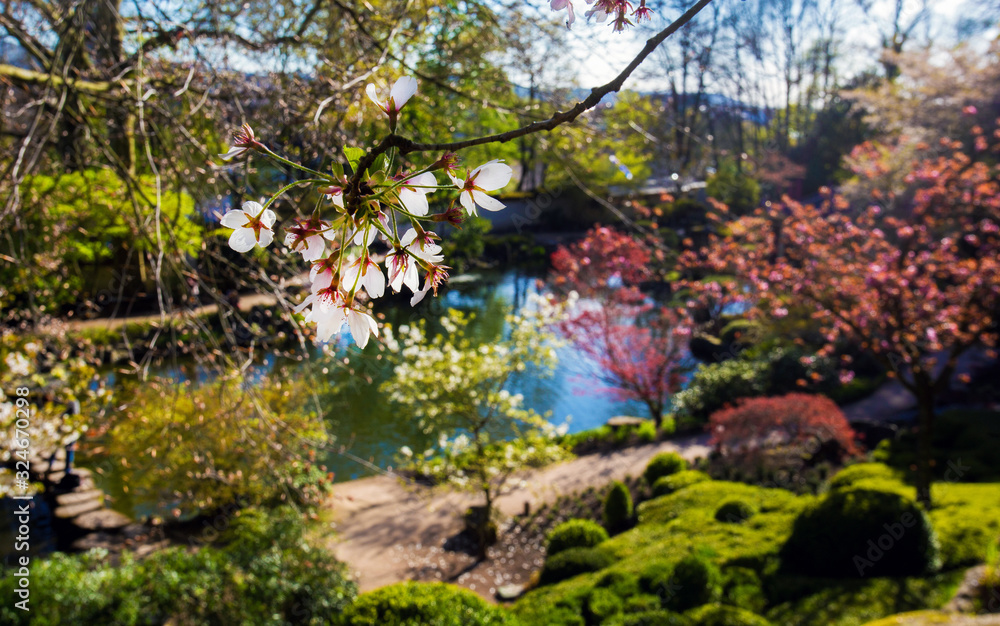 Idyllic sunny day at Japanese garden in Kaiserslautern.
