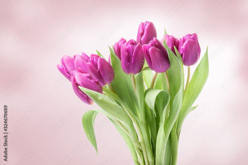 Bouquet of pink tulips on defocused background Bouquet of pink tulips on defocused background