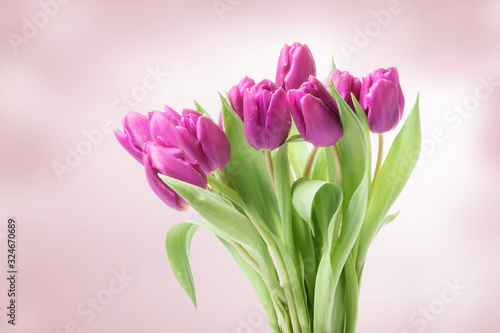 Fototapeta Naklejka Na Ścianę i Meble -  Bouquet of pink tulips on defocused background