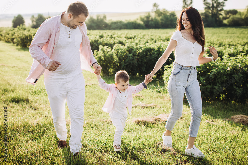 Happy family posing on a green field