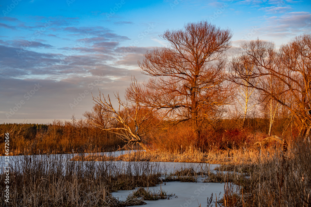 Beautiful winter sunset over a frozen river with bare trees and blue sky. Travel destination Russia