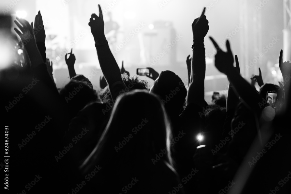 People having fun with their hands in the sky at the live music concert