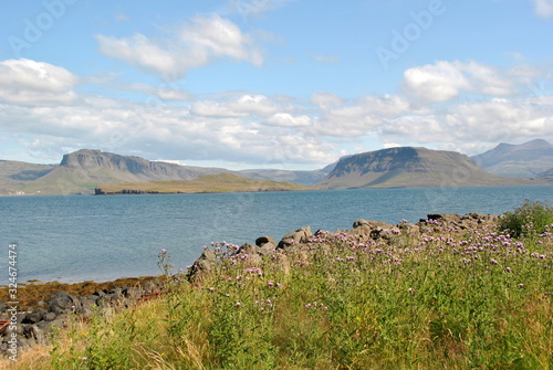 Reynivellir 1 photo